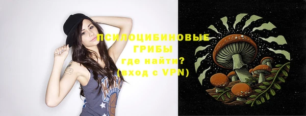эйфоретик Ельня