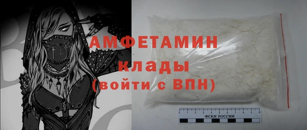 эйфоретик Ельня