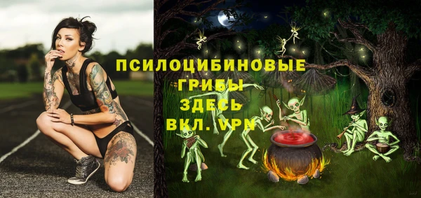 MESCALINE Елабуга