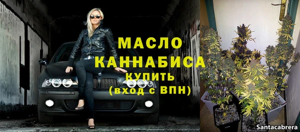эйфоретик Ельня