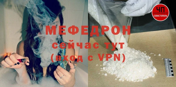 индика Тавда