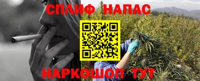 прущие крисы Дубна