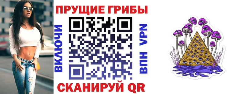 дарнет шоп  Курчалой  Галлюциногенные грибы Cubensis 