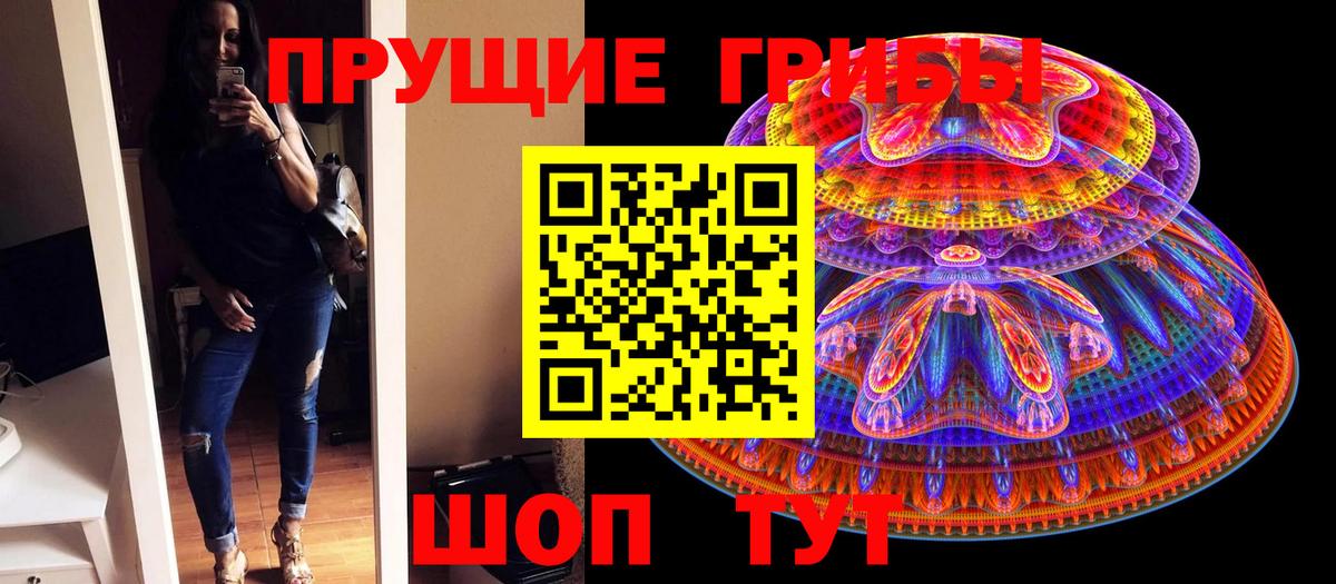 Галлюциногенные грибы GOLDEN TEACHER  Вход с VPN  купить наркоту  Курчалой 