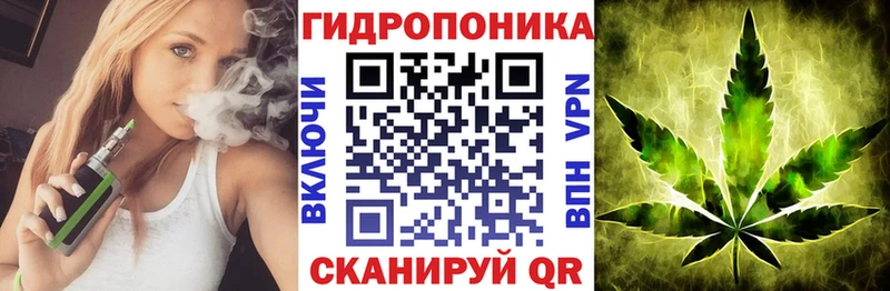 Каннабис ГИДРОПОН  магазин продажи наркотиков  Курчалой 